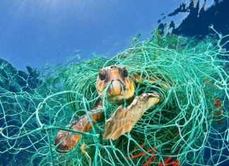 Cerca de 8 milhões de toneladas de plásticos chegam aos oceanos anualmente