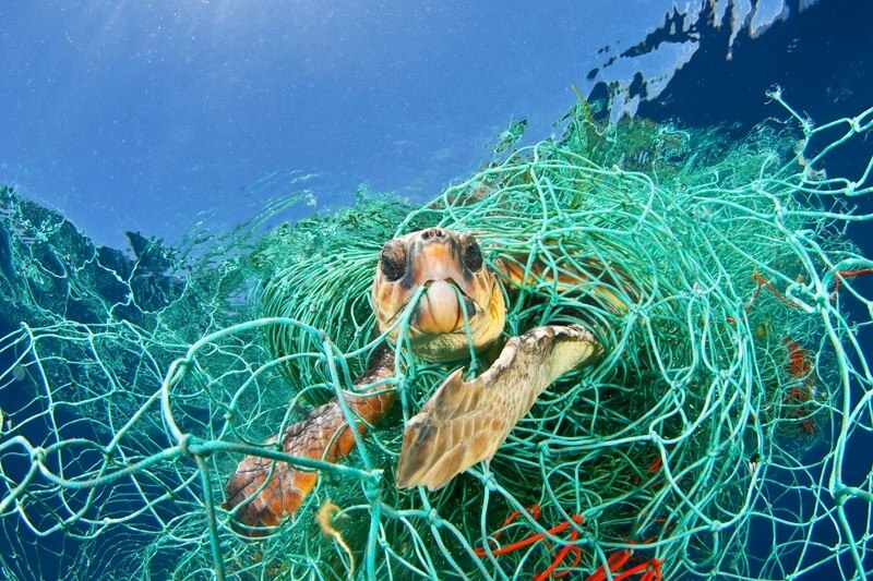 Cerca de 8 milhões de toneladas de plásticos chegam aos oceanos anualmente