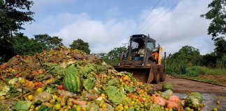 O desperdício de comida custa 1000 reais às famílias brasileiras ao ano