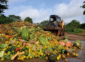 O desperdício de comida custa 1000 reais às famílias brasileiras ao ano