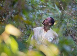 A conservação da vida selvagem depende do incansável trabalho dos guardas-florestais