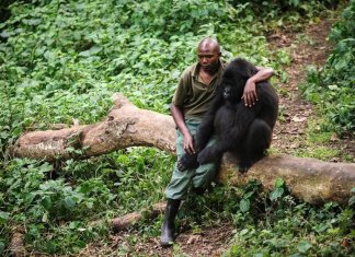 9 documentários imperdíveis na Netflix sobre a nossa relação com a natureza