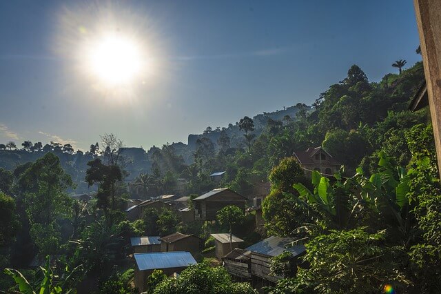 revistaecosdapaz.com - Conheça os desafios para preservar a Bacia do Congo, segunda floresta importante depois da Amazônia