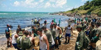 Na Bahia, o óleo que contaminou as praias poderá ser reciclado