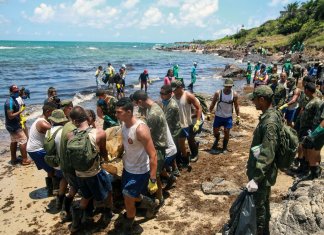 Na Bahia, o óleo que contaminou as praias poderá ser reciclado