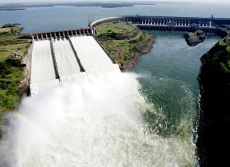 Os projetos da Usina de Itaipu que restauram o meio ambiente e apostam na igualdade social