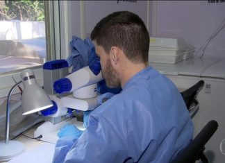 Método usado pela Fiocruz no combate à dengue é um sucesso