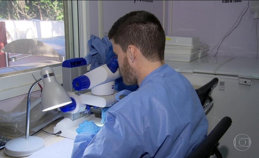 Método usado pela Fiocruz no combate à dengue é um sucesso