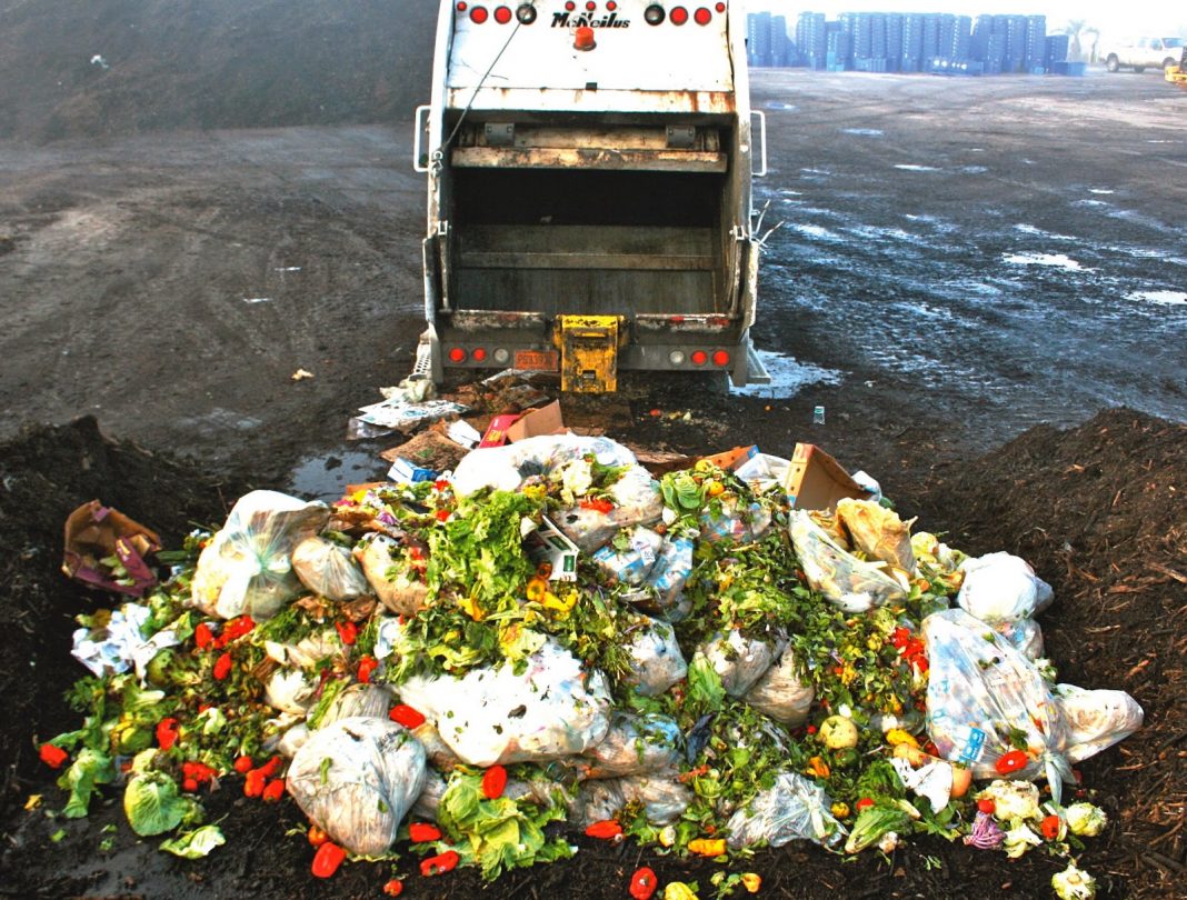 Conheça as ações contra o desperdício de comida que estão se espalhando pelo mundo