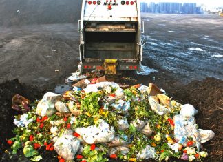 Conheça as ações contra o desperdício de comida que estão se espalhando pelo mundo