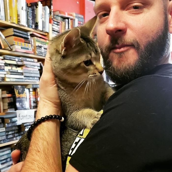 revistaecosdapaz.com - Os gatos e sua inusitada atração por livros