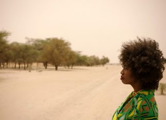 Para conter a desertificação, países africanos investem numa Grande Muralha Verde