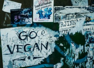 Go Vegan: do Hardcore à mesa