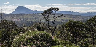 Preservar o Cerrado é garantir o abastecimento de água nas cidades