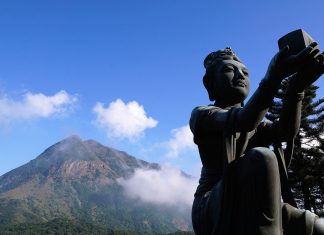 É preciso entender as sutilezas para se ter uma “Mente Buda”, por Monja Coen