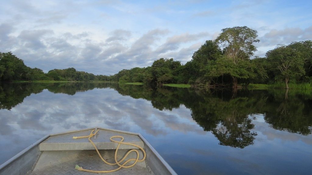 revistaecosdapaz.com - Manter a Amazônia em pé rende muito mais ao Brasil